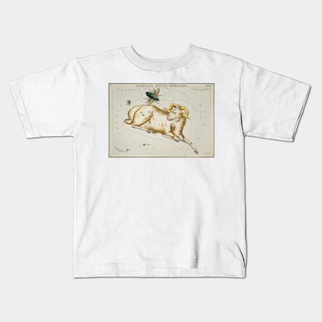 Aries Constellation Kids T-Shirt by Big Term Designs